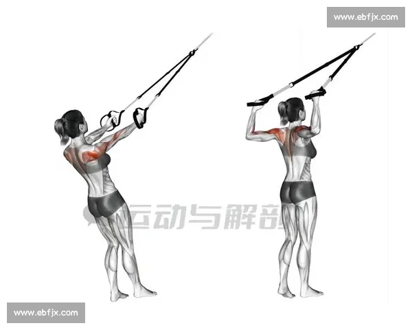 核心力量训练全攻略：提升体能稳定性与日常运动表现的方法