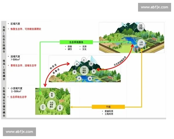 基于体育运动表现的全面评估与科学分析研究 基于体育运动表现的全面评估与科学分析研究